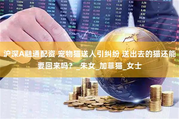 沪深A融通配资 宠物猫送人引纠纷 送出去的猫还能要回来吗？_朱女_加菲猫_女士