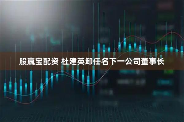 股赢宝配资 杜建英卸任名下一公司董事长